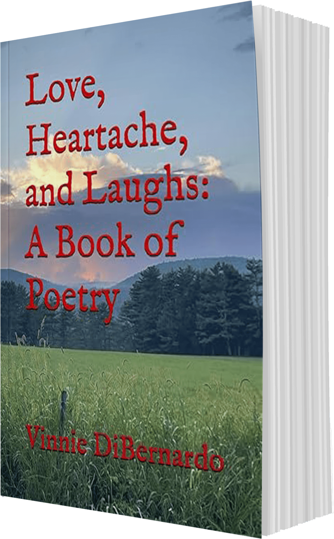 Love, Heartache,, and Laughs: A Book Of Poetry By Vinnie DiBernardo